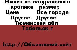 Жилет из натурального кролика,44размер › Цена ­ 500 - Все города Другое » Другое   . Тюменская обл.,Тобольск г.